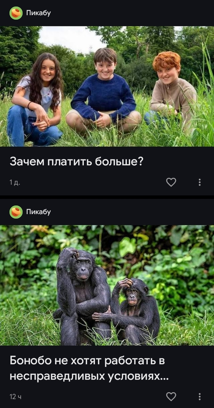 ����������?