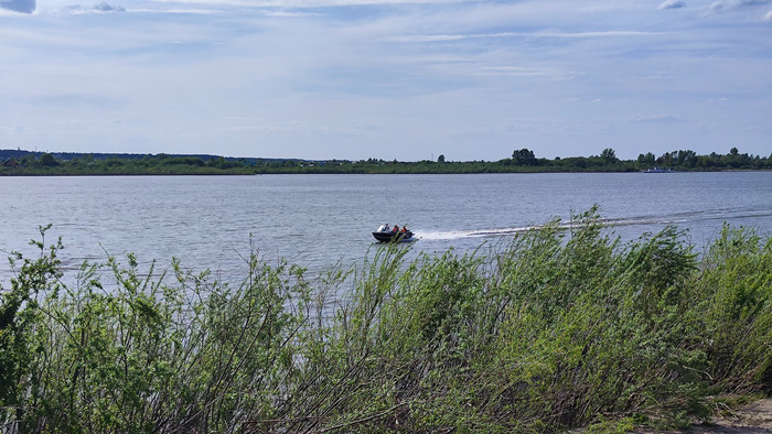 �������� ����� ������ �� ����