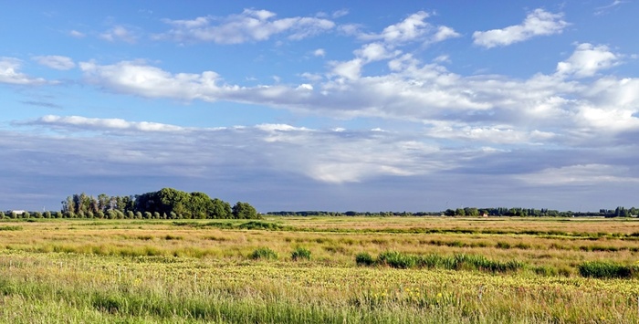 Лето... лето...