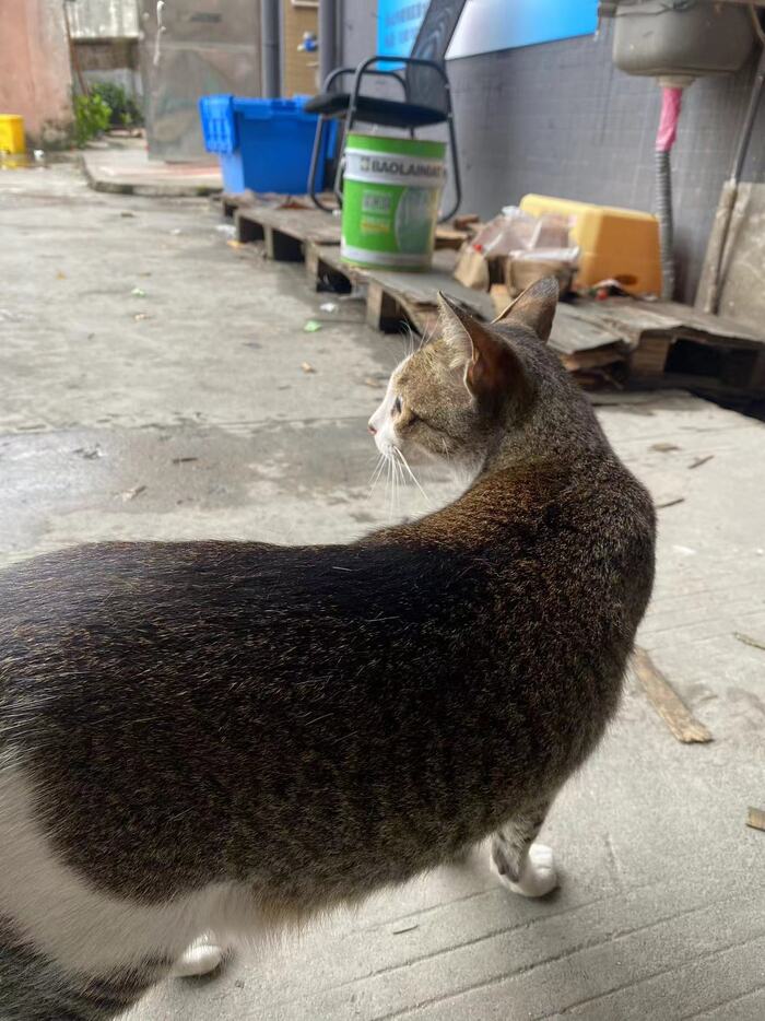 Режим "Страж"