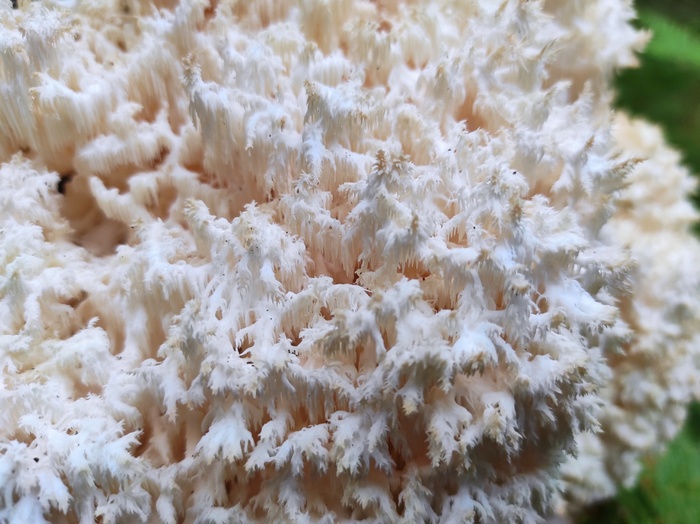 Фото О. Корниловой.