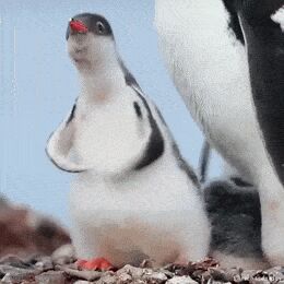    , , , 