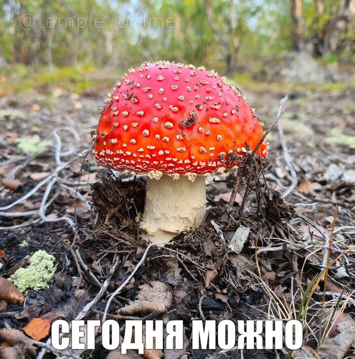    ,   , , 