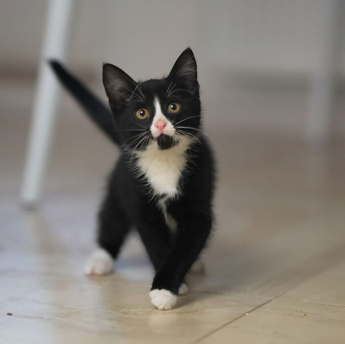        ! ,  ,   , , ,  ,  , ,  , ,  , ,   ,  ,  , ,  