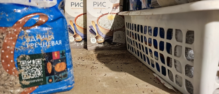 ������� � ������ � ������ ��������� ��������