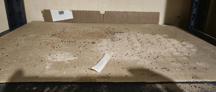 ��� ������� �������