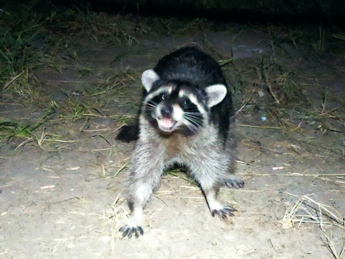       , !  , ,  , , ,  , ,   , ,  