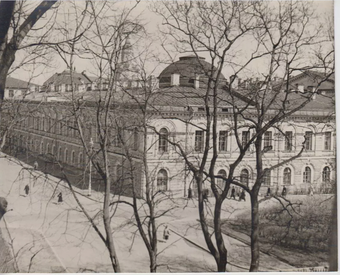   &#x306;    1955  1965 .