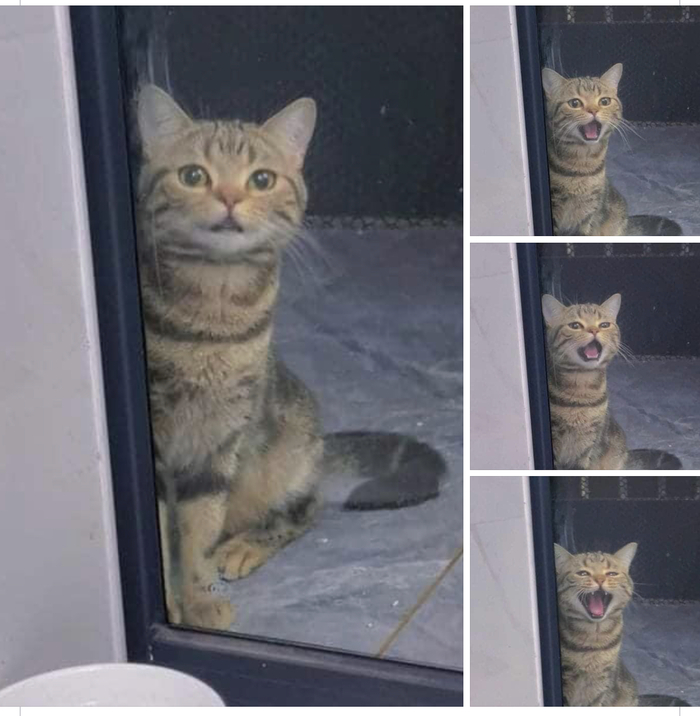  , 
