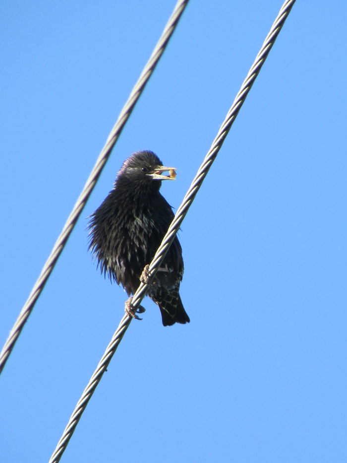 �������! � �����! ����� - ���������, ���� ������ ������� ������ ��� � ���� � �������