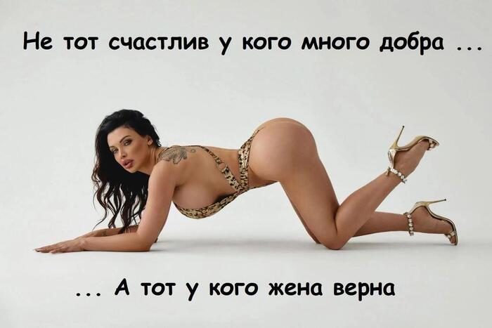 ���� ����� ...