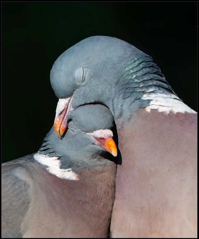   , , , , 