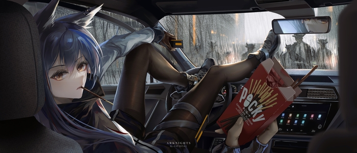 ? Anime Art, , Texas (Arknights), Arknights, Animal Ears, Pocky