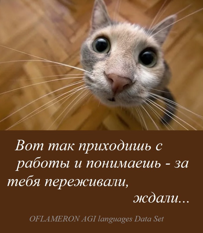 � ����� ���-�� ��������� ����������...