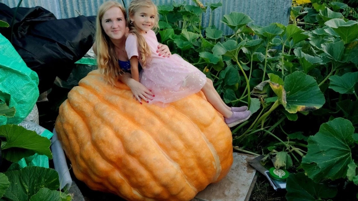 Победительница 2024 года Анжелика Уткина со своей дочкой Изабеллой, которая полноценно помогала маме вырастить тыкву весом 498 кг!