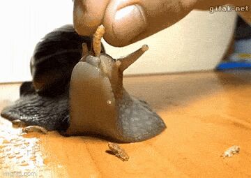   , , , 