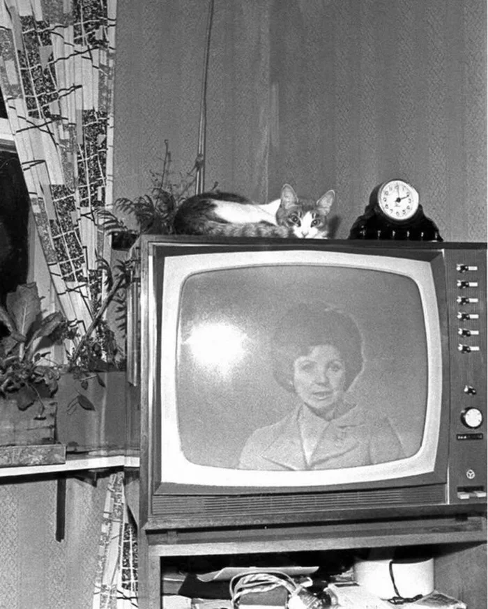 Интерьер, 1974 1974, СССР