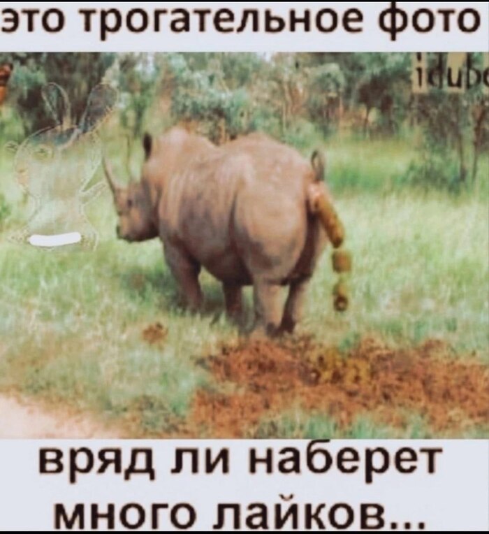      ,  ,   