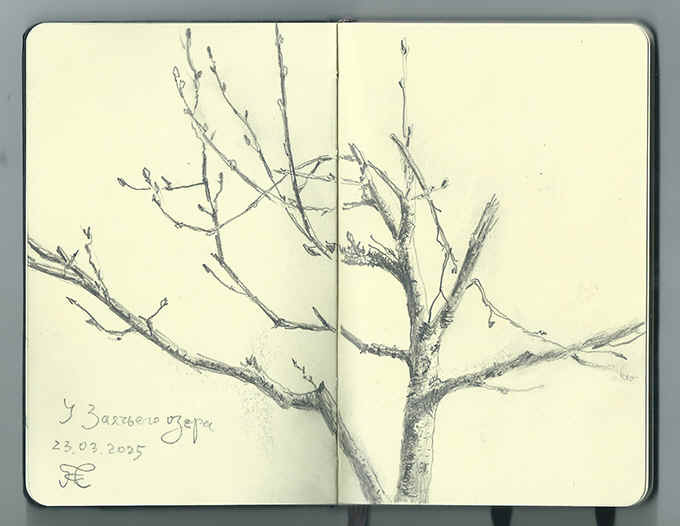 ������� ��������� � �������� �����.