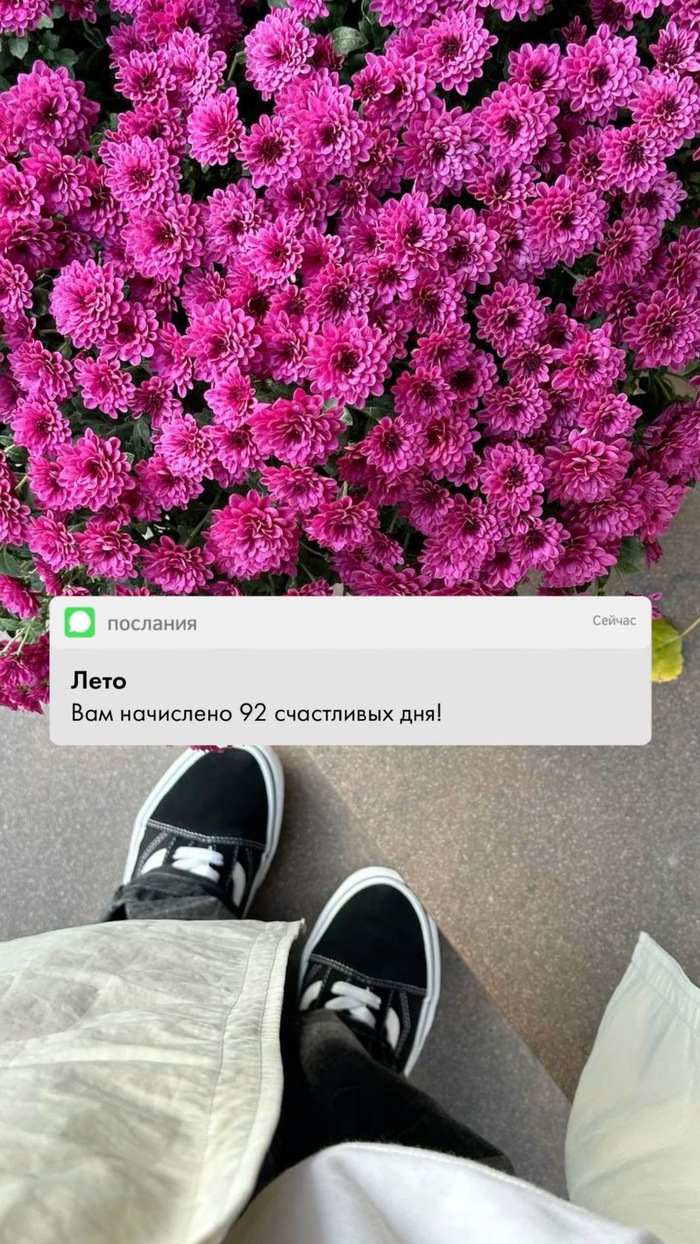 ,       , , , , , , , 
