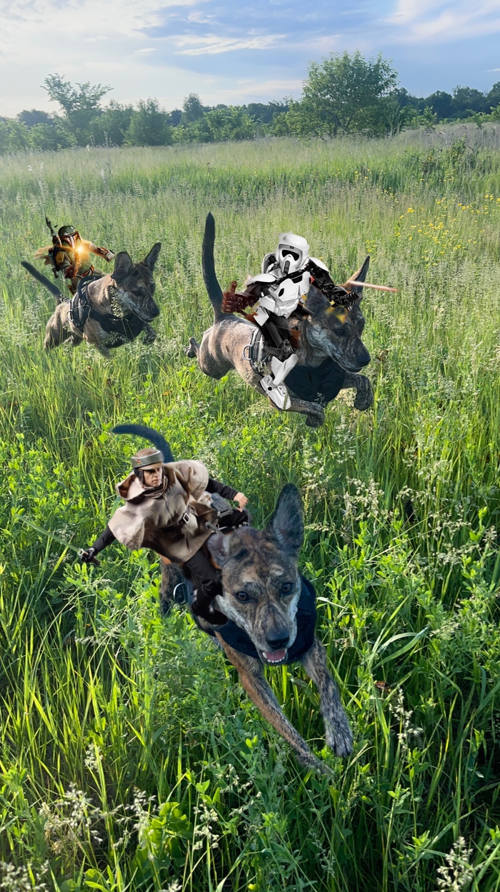     , , Star Wars, 