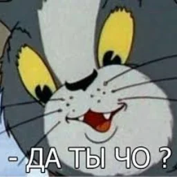 user10530818