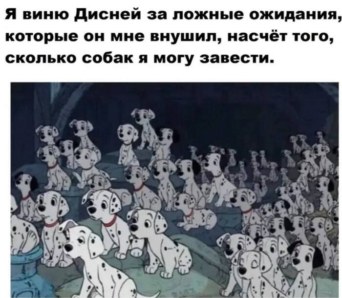 ,   101,   ,   , , 101 