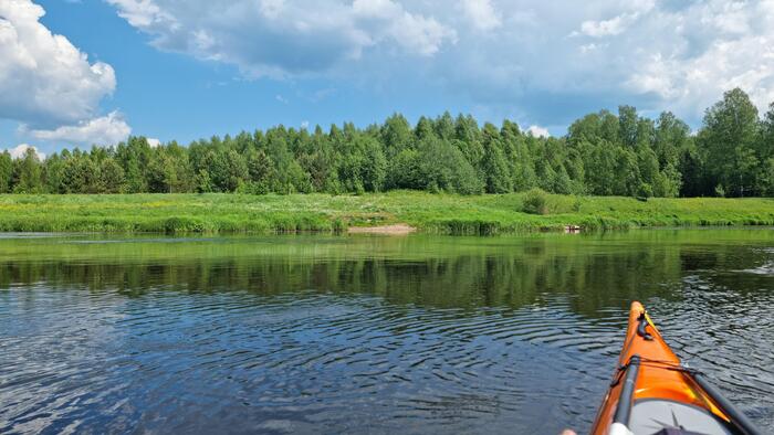 Берег реки этим утром. Солнце припекает, и уже слышны звуки живности.