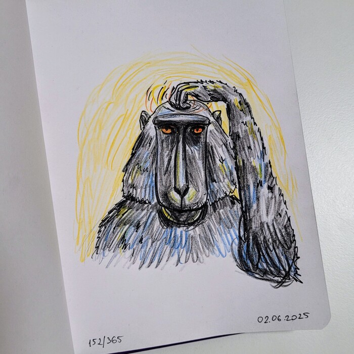    "  ". 152/365 , , , 
