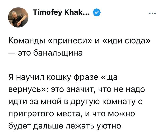 Понимает и отвечает "мау"...