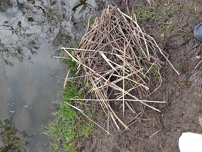 Гуманитарная помощь утопающим