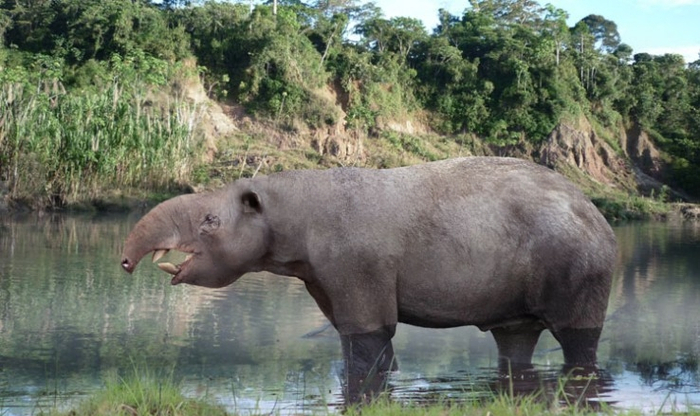    ,     ,  .         !