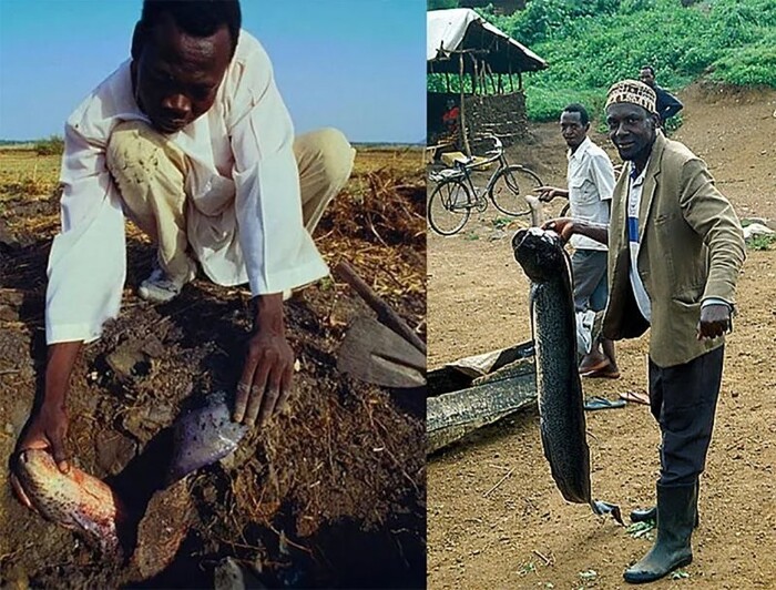 ������� ������ ����� ����������