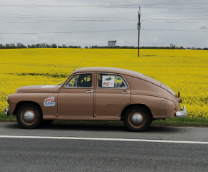 � ����� ������� ���-�20, 2025�