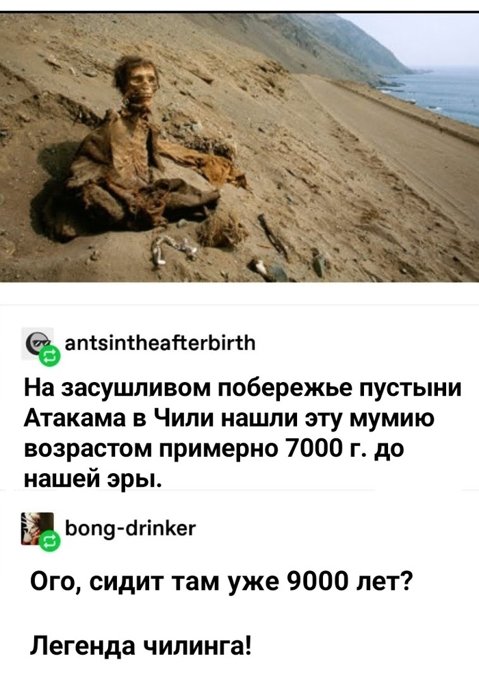       , ,  (),  , ,  , , 