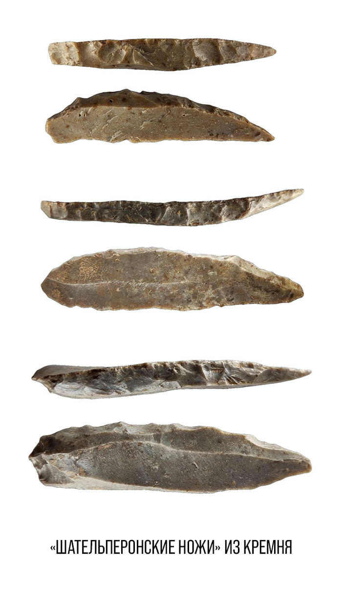    .  ,      36-44 .  .