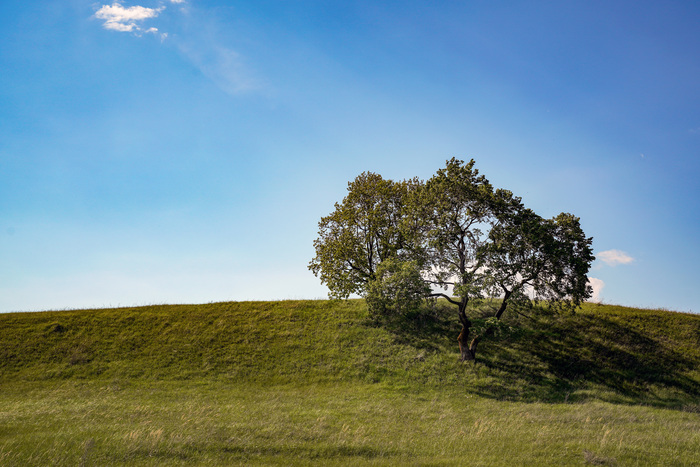 Безмятежность