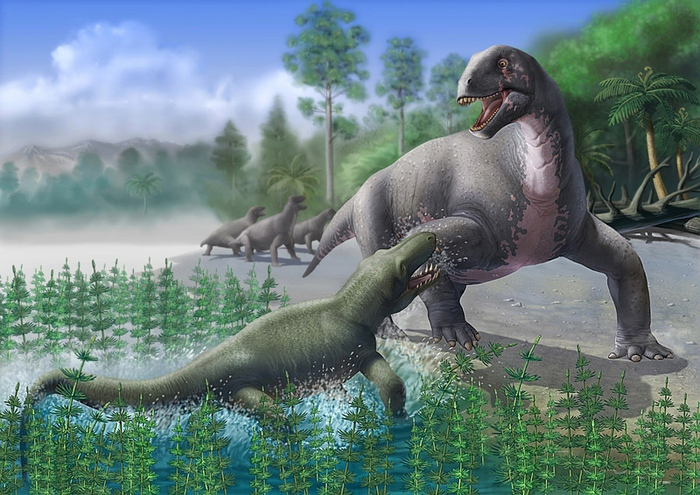  !     .  - ?  ,   !!!