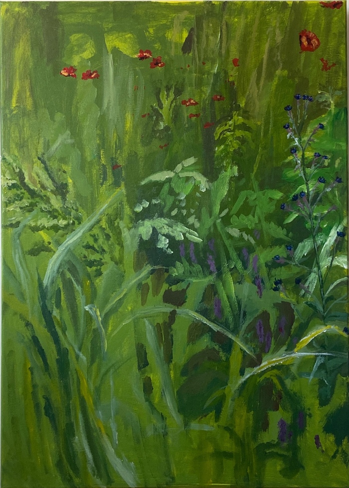 70�50, �����, ����� (������)