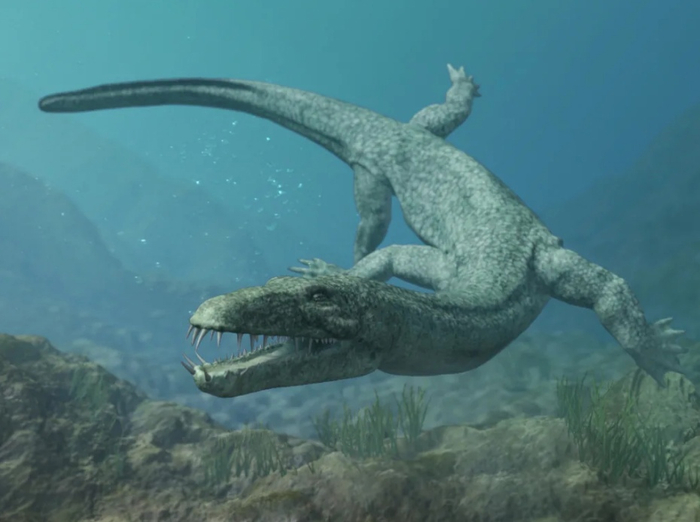 Остатки нотозавра находят в Северной Африке, Китае и Европе.