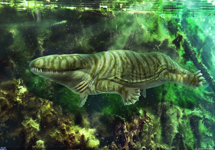 , , , .   ,  ,  260   .