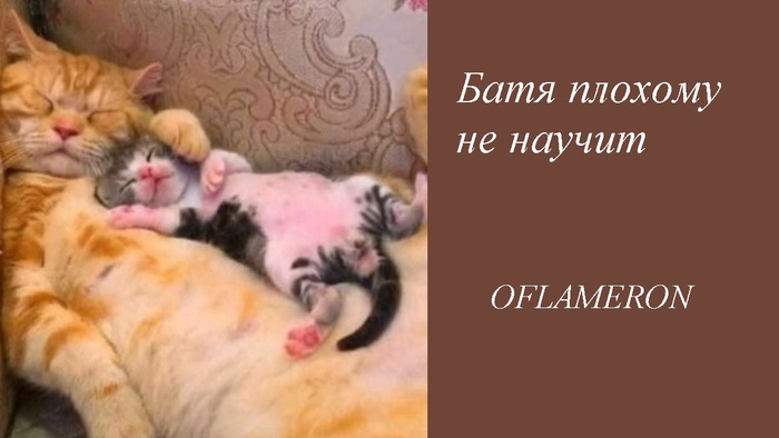 Батя плохому не научит