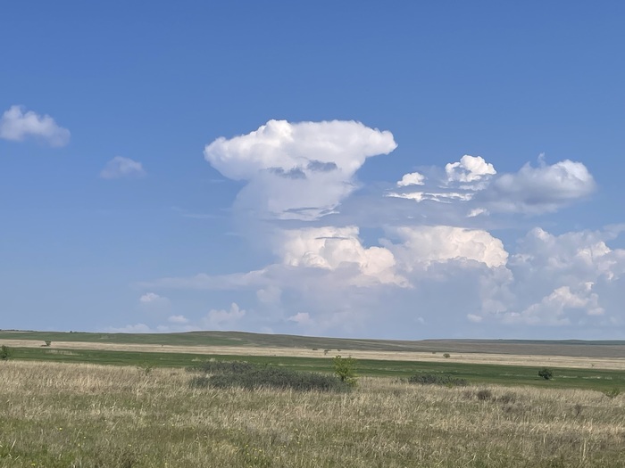   ,    ,  . -      ,    .    . 