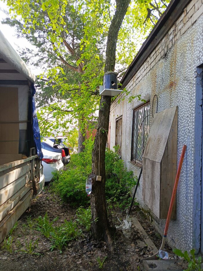 Теперь осталось дождаться - найдут ли птицы новый дом.