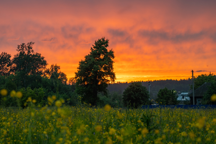 ����� ����: ������ ��������