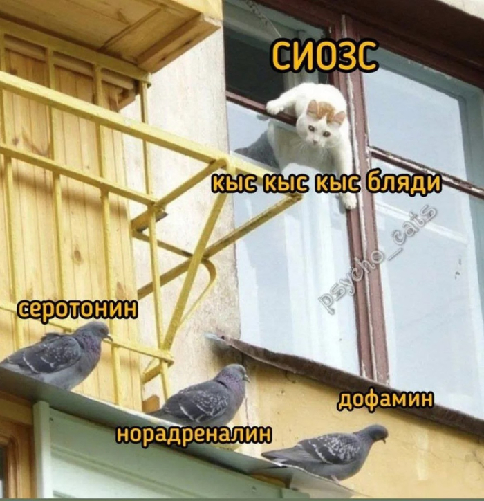   ,   , , , 