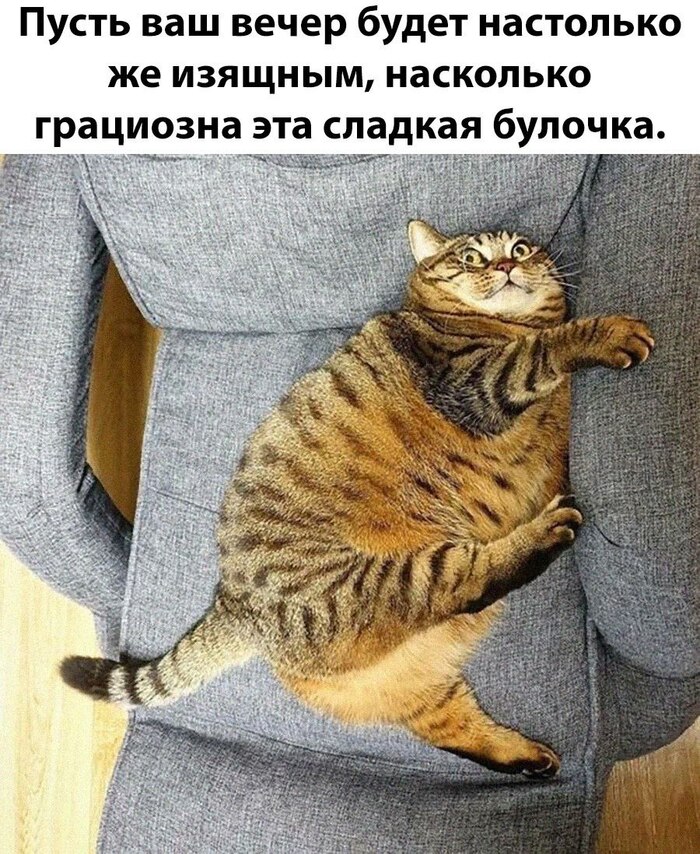     ! ,   , 