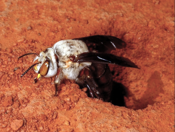 А может, погулять выйти?