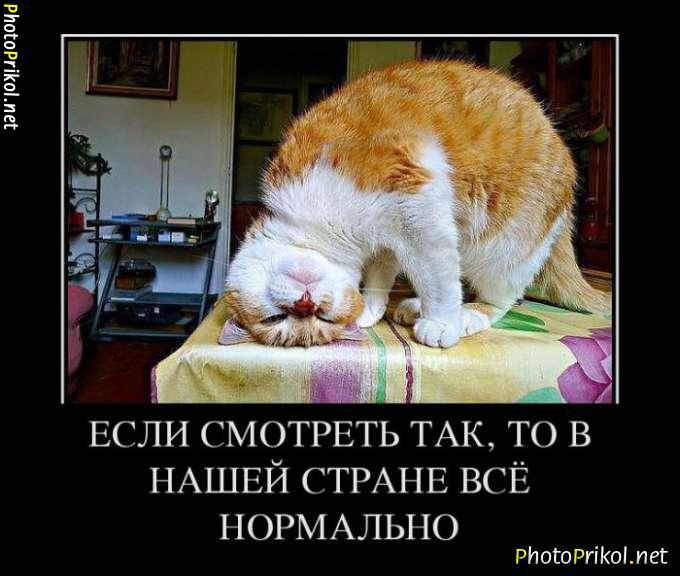      9  .    , -, 