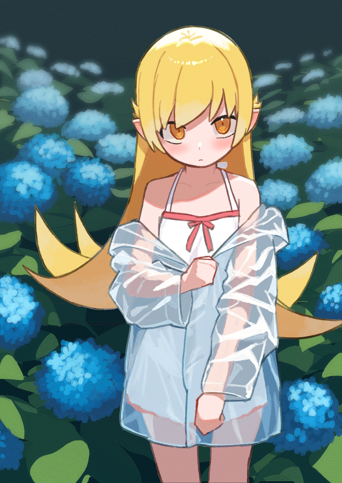   Monogatari series, Shinobu Oshino, Anime Art, , Loli, , 